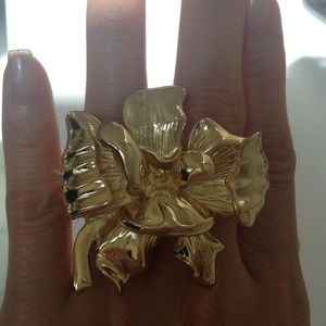 BCBG ring