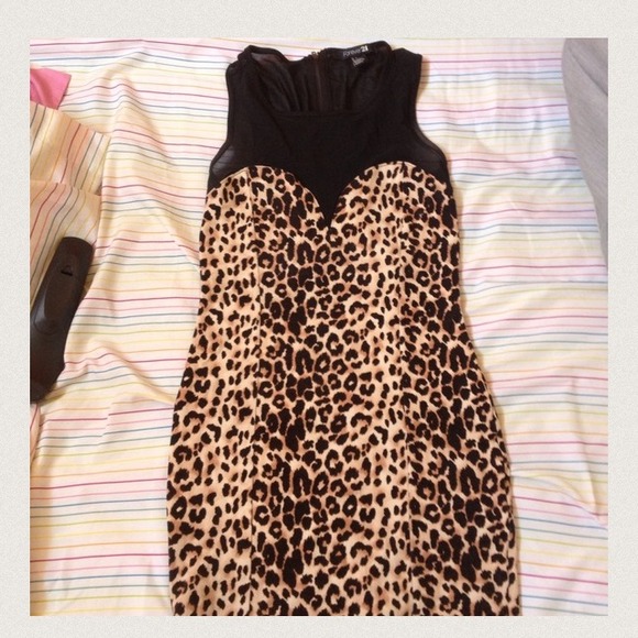 Leapord - Picture 4 of 4