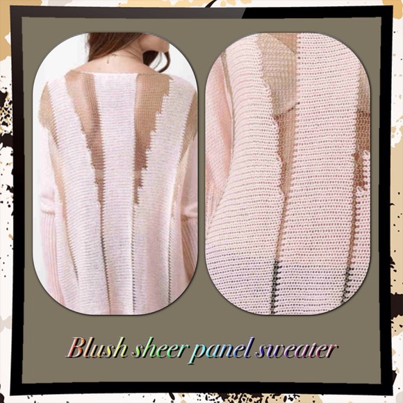 Sweaters - SALE🎉Blush  w/gold mesh sweater