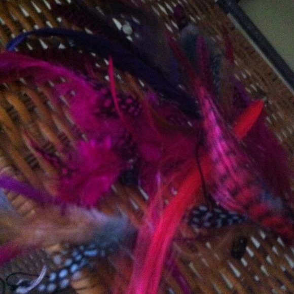 Lots of hair feathers