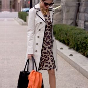 Banana Republic Leopard Print Dress