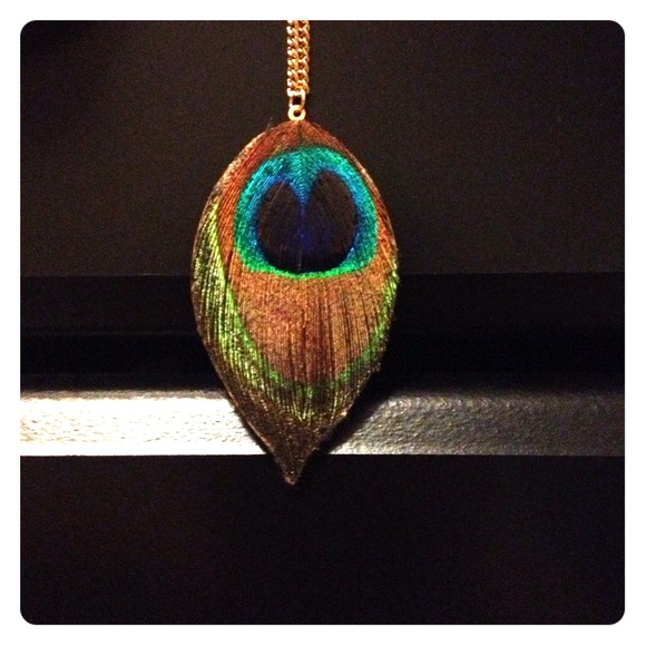Peacock feather necklace