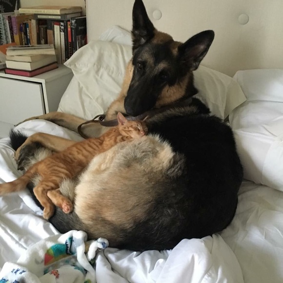 Meet your seller/buyer! I’m Julia 👋🏻 - Picture 4 of 11