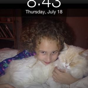 Ok, house is not exactly animal free...