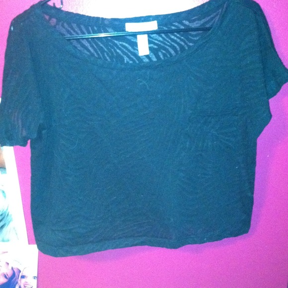 Zebra print see through crop top