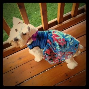 Not for sale! Just sharing my mini schnauzer