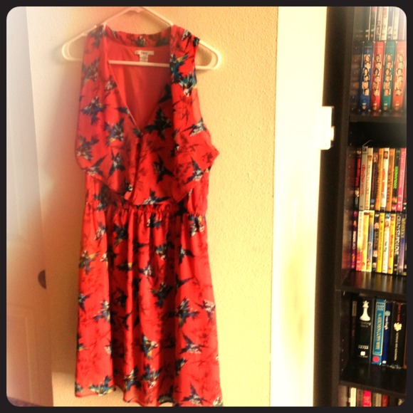 Dress with birds on it