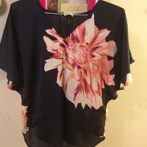 REDUCED! BEAUTIFUL silk top NEVER WORN NWOT!