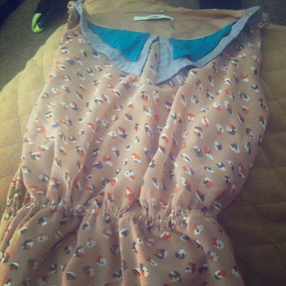 Collared Dress - Picture 1 of 2