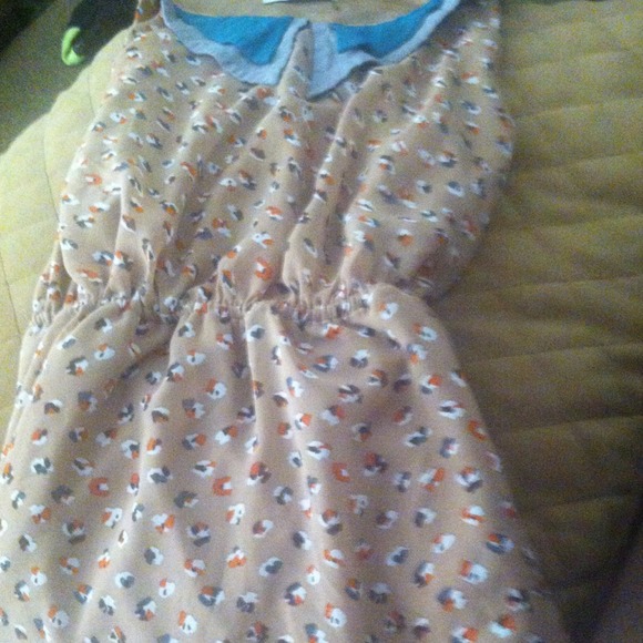 Collared Dress - Picture 2 of 2