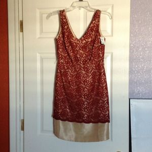 The Limited Red and Nude Laced Dress