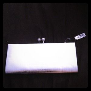 Silver Aldo Clutch