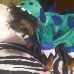 Dinosaur costume (:
