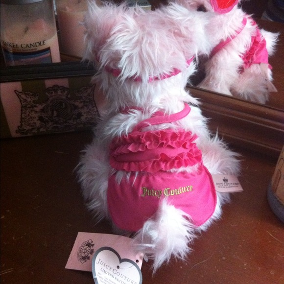 Juicy Couture Accessories - Limited edition JC dog w/tags❌sold