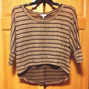 Brown & Metallic Gold Cropped Sweater
