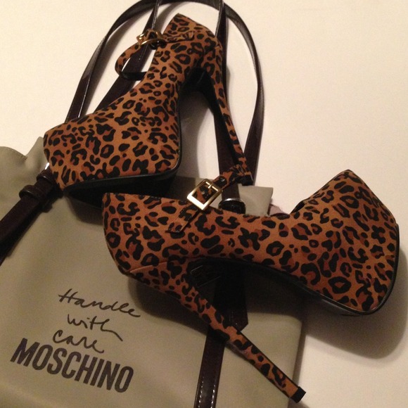 WILD LYFE – Leopard