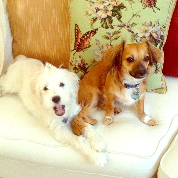 We love helping momma sell!! :)