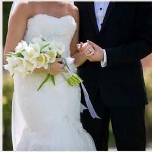 Pronovias Wedding Dress