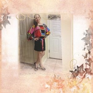 NWOT FIRM color block dress size Medium