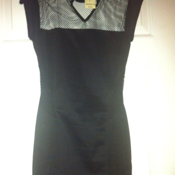 Arden B Dress