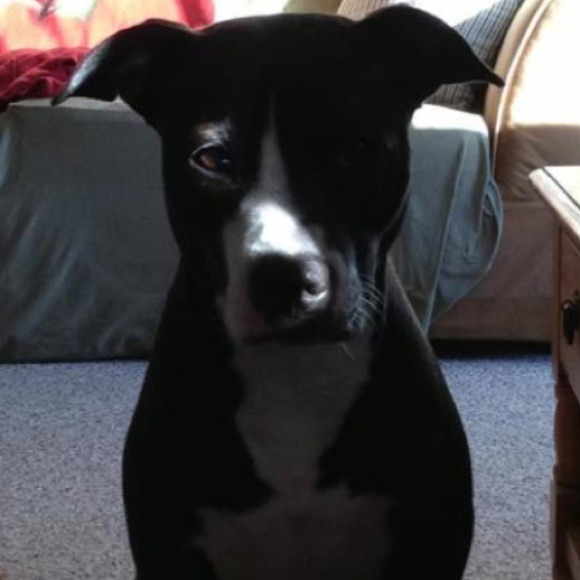 Meet your seller Lisa💜 - Picture 2 of 4