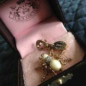 Spider on web juicy couture charm.