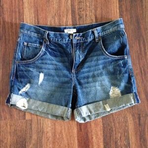 Heritage 81 (Forever 21) High Waisted Shorts
