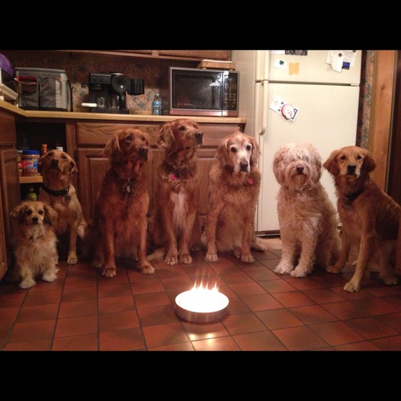 Meet me! Buyer, seller & Occasional trader - Picture 3 of 4