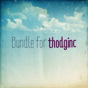Bundle for thodginc