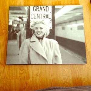 Merlin Monroe picture