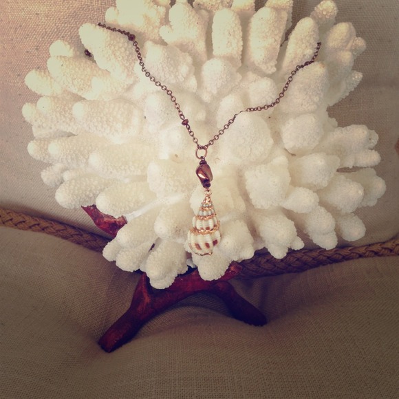 🍒SALE🍒20% off shell necklace