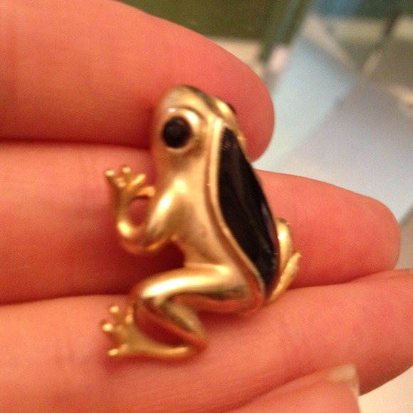 Designer frog:) - Picture 4 of 4