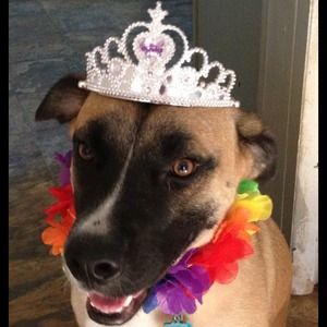 From abandon to party princess !!!