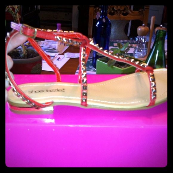 Brand new, never worn shoedazzle sandals.