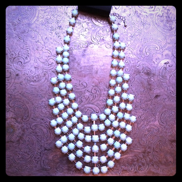 NWT! Mint Green Adjustable Modern Collar.