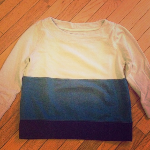J Crew / Madewell Hi-Line colorblock sweatshirt!