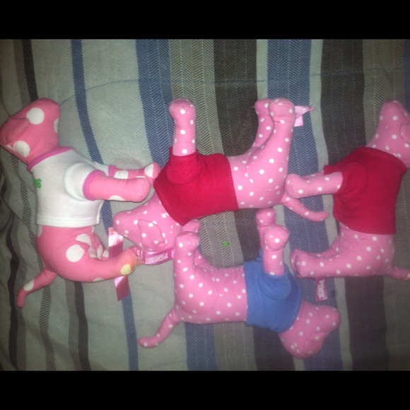 🐶Vs dogs - Picture 2 of 4