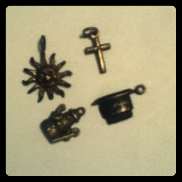 Charm bracelet charms