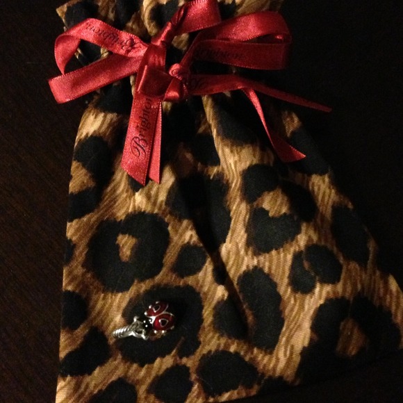 Brighton ladybug charm✂️reduced