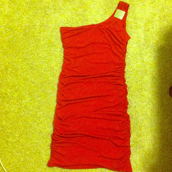 Brand new ; no tags ; great dress ; not my color