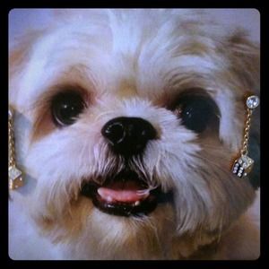 🍀Lucky dangling dice earrings 🍀