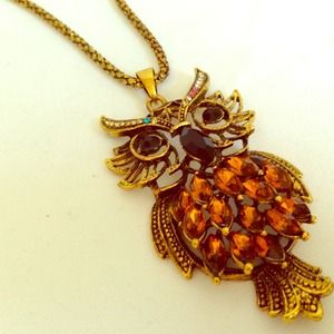 🚫SOLD🚫Large Owl Pendant Necklace