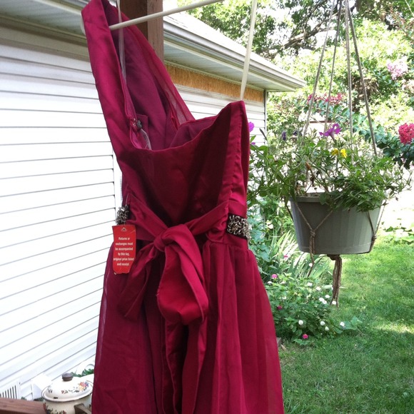 Dress - Picture 3 of 4