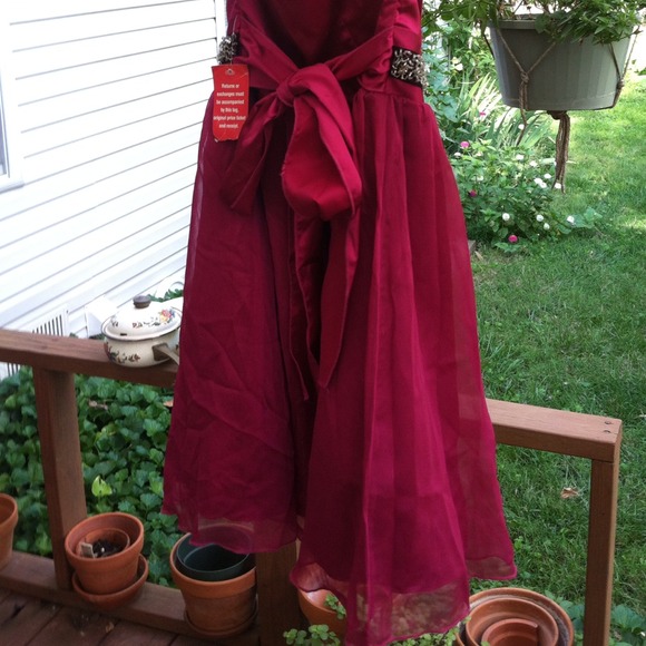 Dress - Picture 4 of 4