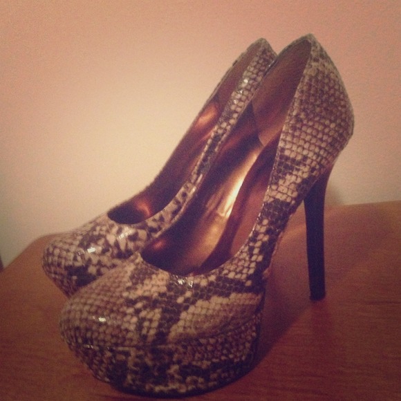 Snake print pumps