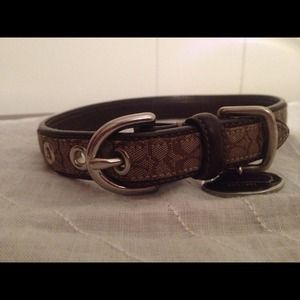 Coach Signature C dog collar **Glamorous Pooch**