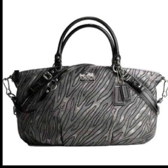 ✨Looking for this bag✨