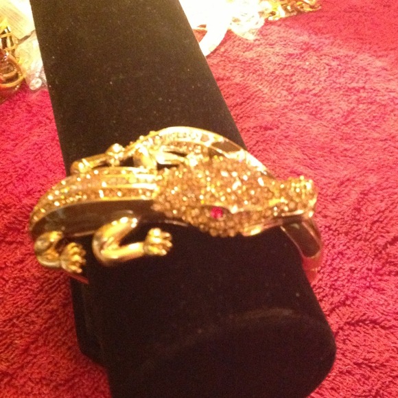 GATOR FANS JAZZ IT UP WITH THIS BRACELET