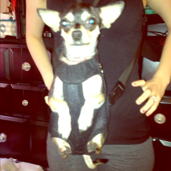 🚫Sold🚫💥Price Drop💥Dog Carrier