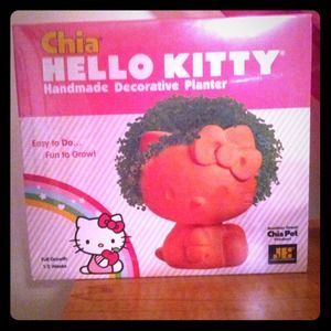 Hello Kitty Chia pet !
